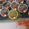 Söz Nişan magnet pleksi turuncu